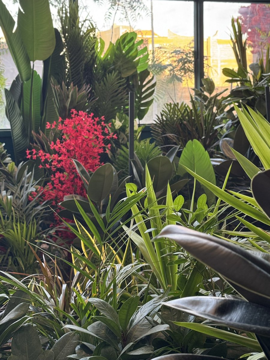 I8Rema's tweet image. جمعة طيبه عليكم 
صلو على النبي الكريم