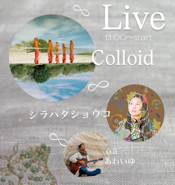 Colloid コロイド tweet media