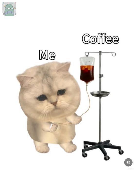 Tanyarlfes tweet media