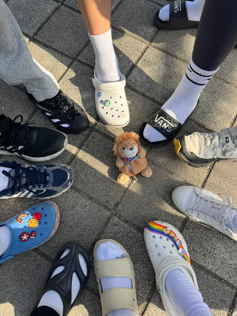 FCLEOFOOTBALL's tweet photo. 🦁2025.11.09 레오훈련🦁

지난 주 훈련! 간만에 너무 따뜻했다죠~
패스 주고 움직임! 2인 공수 훈련!
다리가 후들후들거려도 게임은 해야지👍🔥
이번주 훈련도 아자잣

#이쪽풋살 #여성풋살 https://t.co/LJ3QQeDqR1