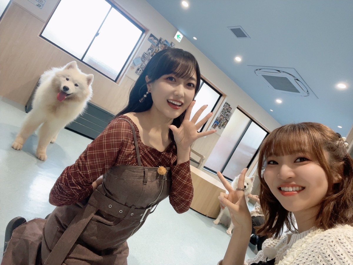 acgセクシーカード LSP2⭐︎002 取引猫 acgセクシーカード LSP2⭐︎002