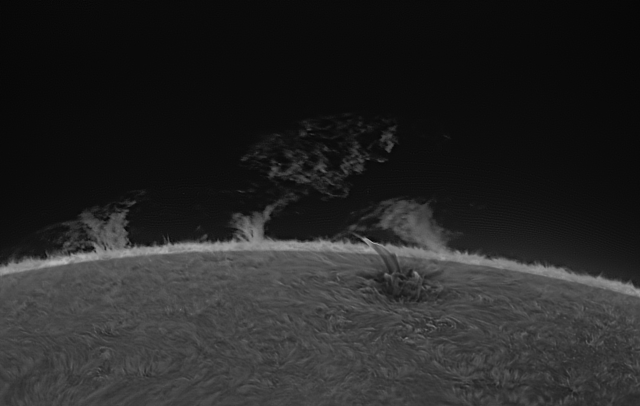 本日の太陽です。　久々に太陽観測することができました。　西側のプロミネンスと小さな噴出が確認できました。
2025.11.13 23:54UT(11.14 08:54 JST)
200mmF12 x2.5,Daystar QuantumSE 0.28Å, ASI174MM, Pentax MS-5 NS5000