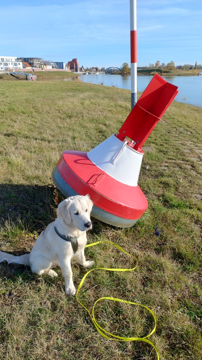 Dass einem ein Lebewesen einer anderen Gattung so ans Herz wachsen kann...☺️
