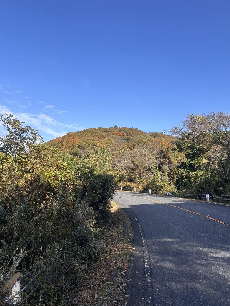 nijineko01's tweet photo. 今日はAVEDIOで初のヒルクライムに行ってきた〰️!!
筑波山を登ってきたけど久々すぎてグダグダだし、足つるし💦
でも、不動峠はギアを残して登れた🥺
AVEDIOの軽さに感謝🙏
#AVEDIO https://t.co/BewfjNtjIE