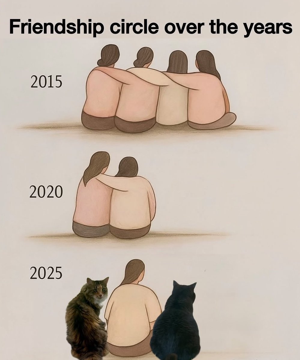 lined cats (@linedcats) on Twitter photo 