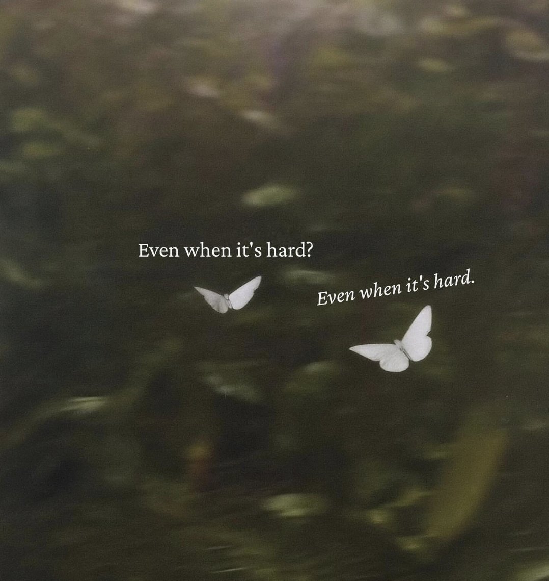 lovedropx's tweet image. 