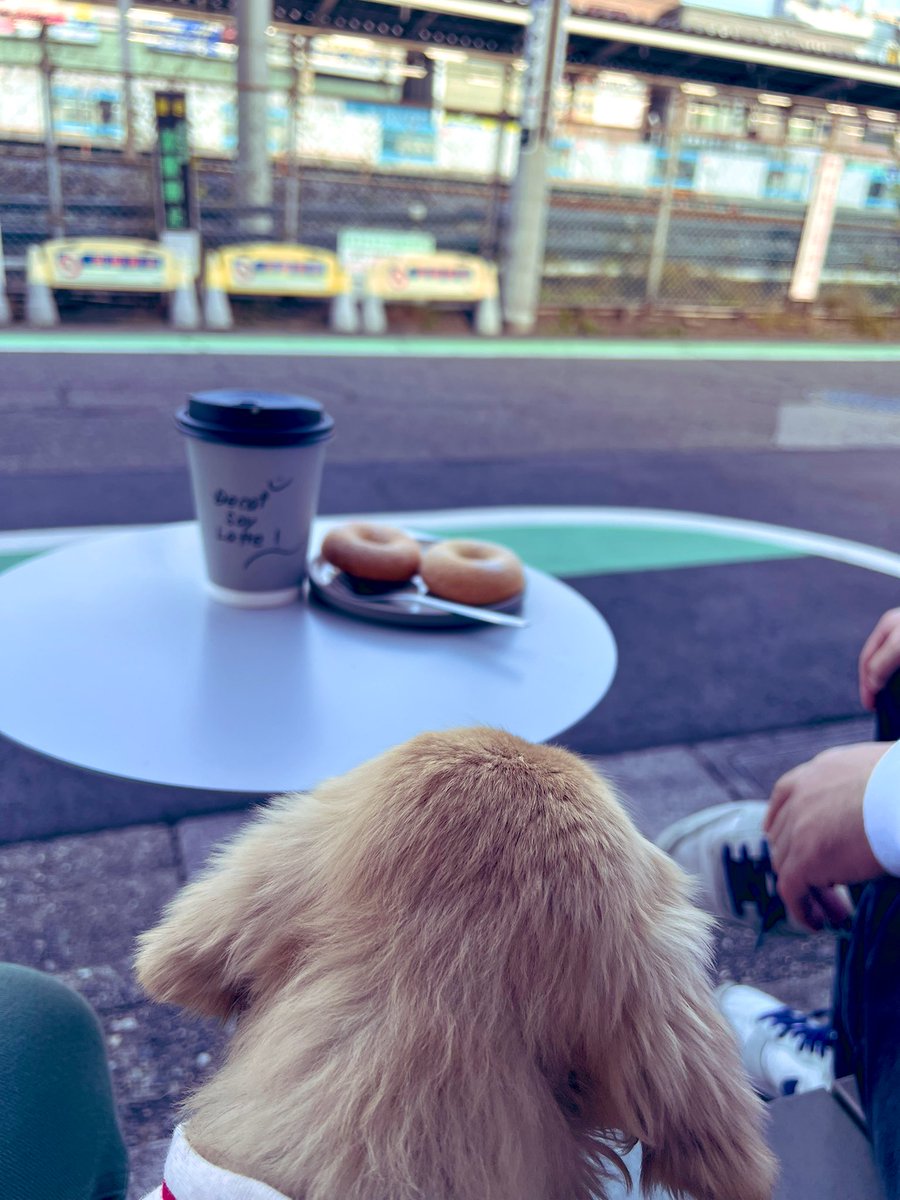 5en2_kansha's tweet photo. up coffee 北浦和
Decafe☕𓈒𓏸︎︎︎︎
カリモチ米粉ドーナツきなこ🍩
だいすきなカフェに🐶と♡
お菓子食べたい!!でもグルテン気になる💦
っという方はupcoffeeさんの
米粉ドーナツおすすめですᵕ̈*
美味しくて食感だいすきです♡♡
#北浦和カフェ #北浦和 #グルテンフリー
#Decafe #coffee https://t.co/utCgtqzZCc