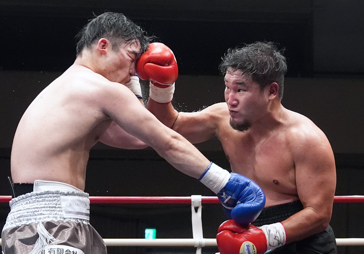 FUJI BOXING (フジボクシング) tweet media