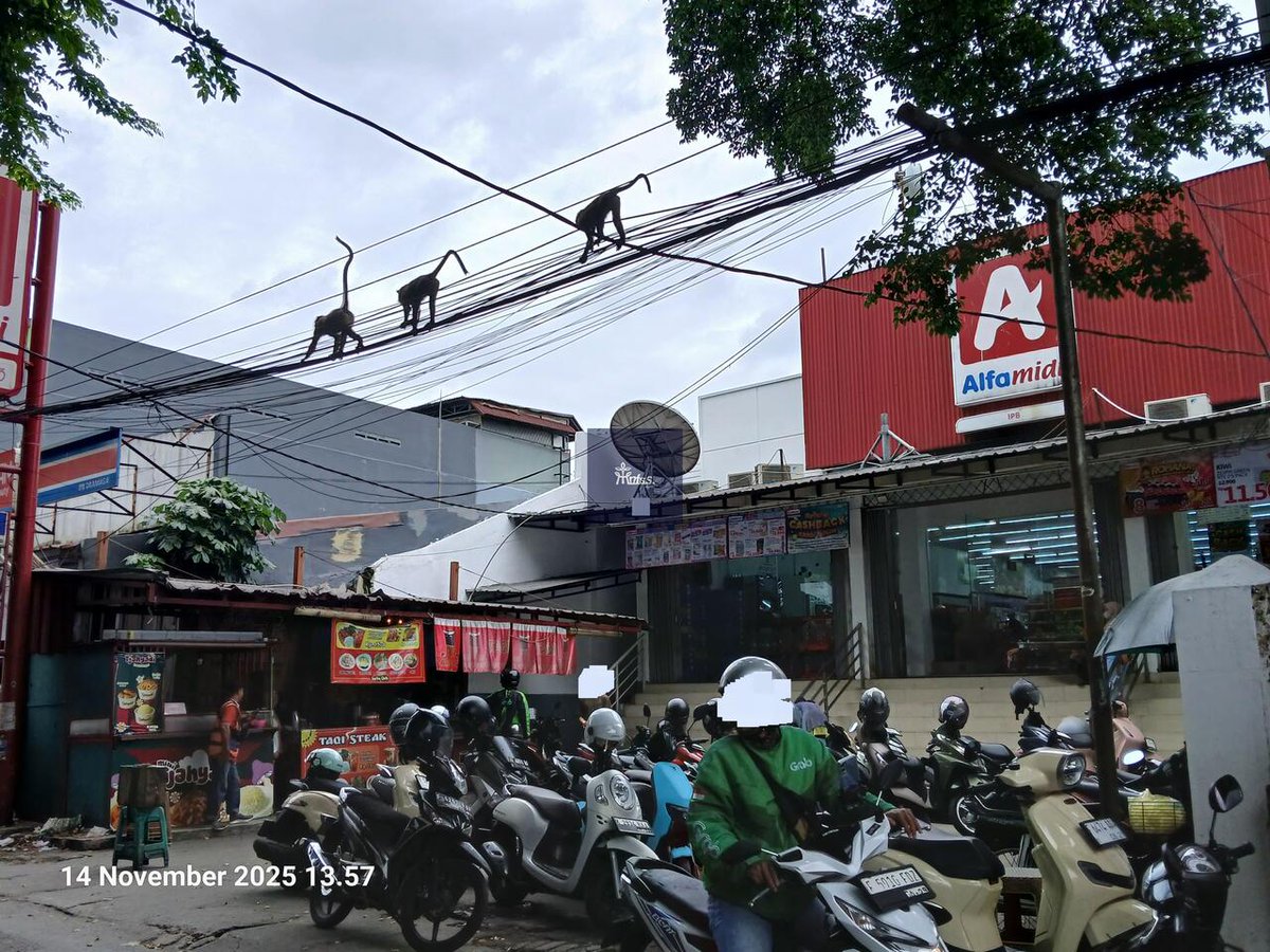 ipb_menfess's tweet image. punten hati-hati bagi yang mau ke bara