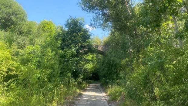 „Chceme louky plné hmyzu otevřené pro návštěvníky.” Začala rozsáhlá obnova pardubického Červeňáku. 🔴➡️ irozhl.as/yuC