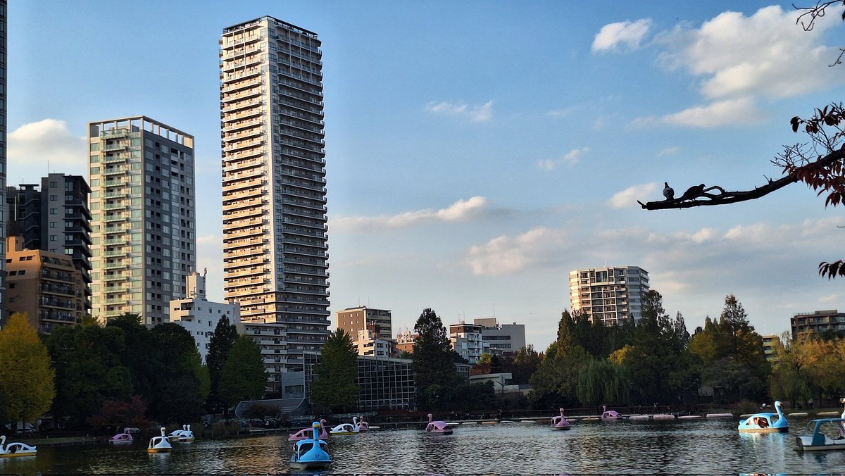 Post by こば兄っ まこ路 on X: 夕景🌆