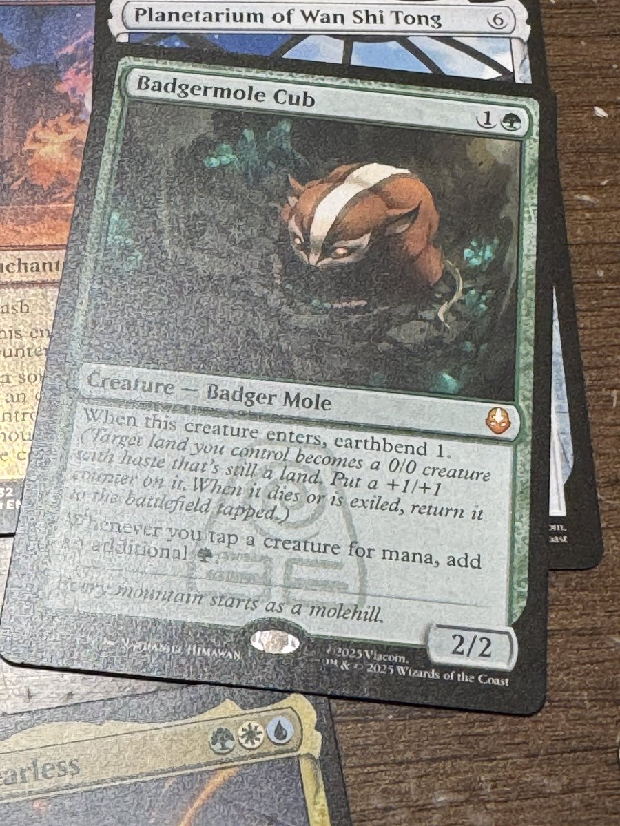 MTG アナグマモグラの仔 4枚 カード詳細：アナグマモグラの仔