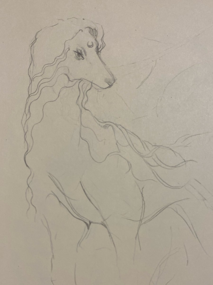 Dog of goddess Diana
#artistsontwitter