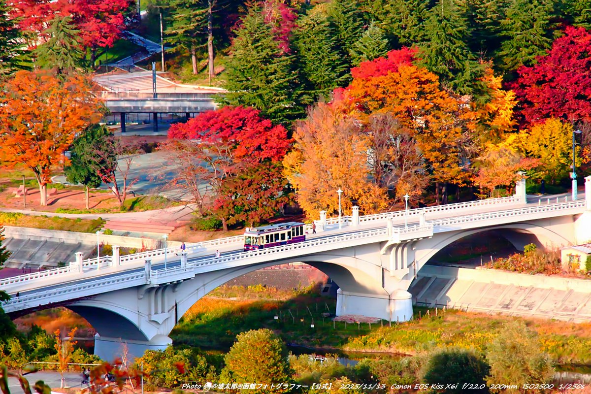 Shyokunin_k's tweet image. 皆さんどうも!😁✋

昨日13日深夜に仙台の遠征撮影から函館へ帰って参りました😁ただいまです😄

さて今回のテーマは!
秋色の仙台を走る「るーぷる仙台」—紅葉最盛×街の鼓動

函館から日帰りでは足りず…11/12・13の二日間、
仙台へ紅葉遠征。
テーマは「今がいちばん美しい秋の街並み ×…