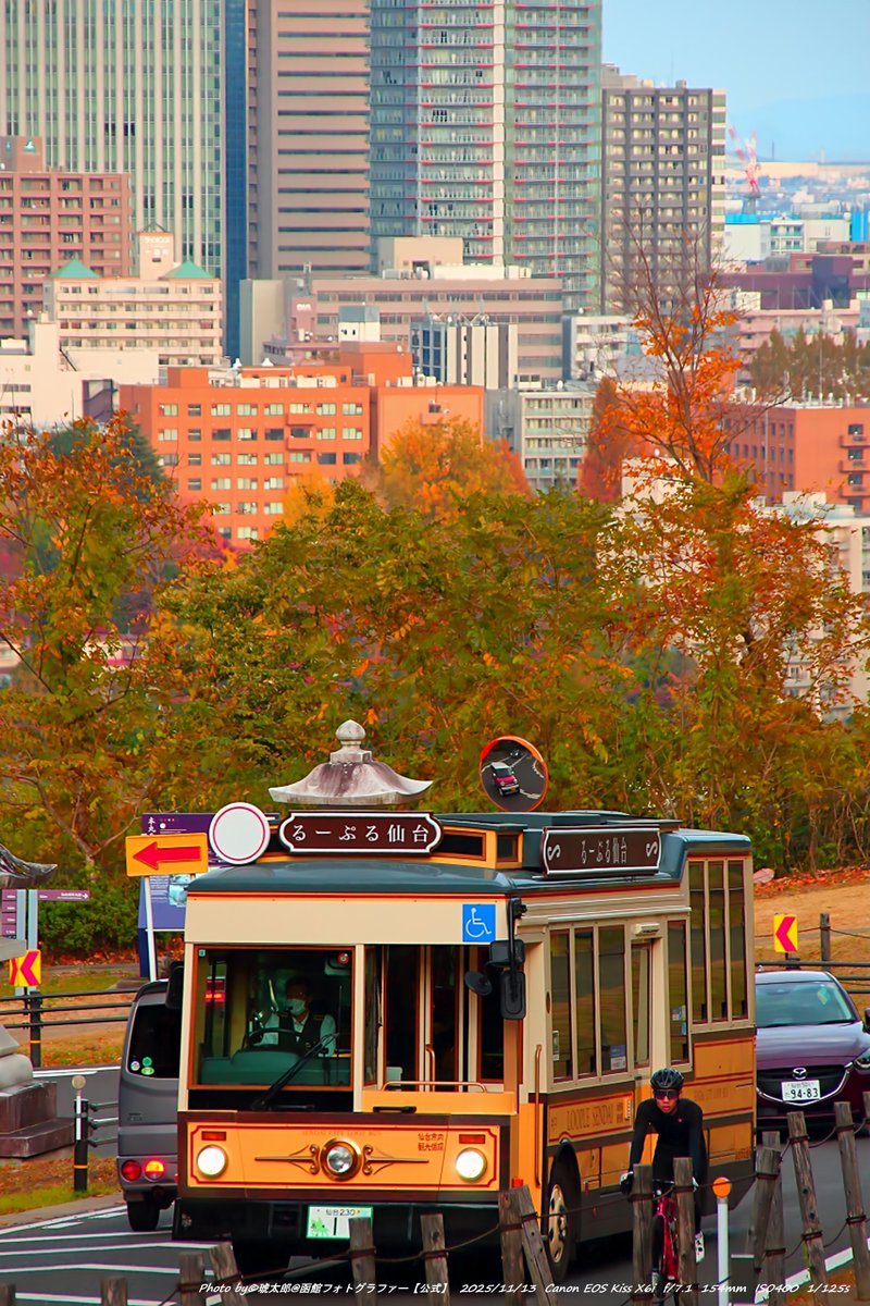 Shyokunin_k's tweet image. 皆さんどうも!😁✋

昨日13日深夜に仙台の遠征撮影から函館へ帰って参りました😁ただいまです😄

さて今回のテーマは!
秋色の仙台を走る「るーぷる仙台」—紅葉最盛×街の鼓動

函館から日帰りでは足りず…11/12・13の二日間、
仙台へ紅葉遠征。
テーマは「今がいちばん美しい秋の街並み ×…