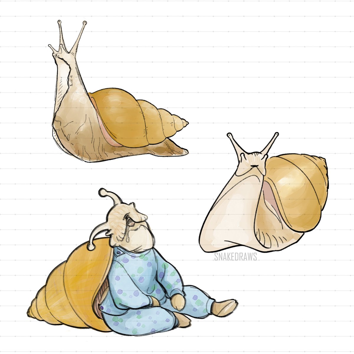 Got a pet snail back in August... love it so much