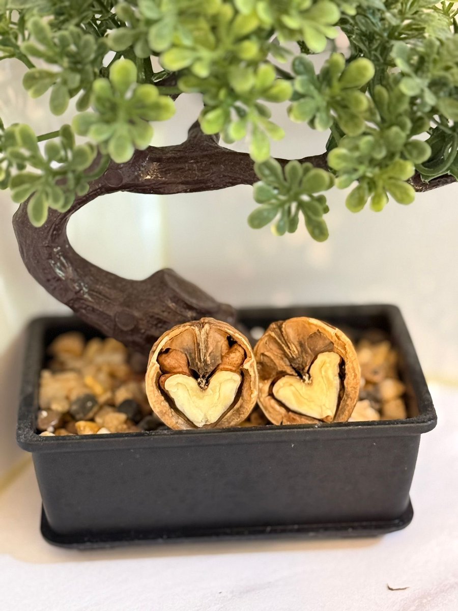 favlayan aski buluyo