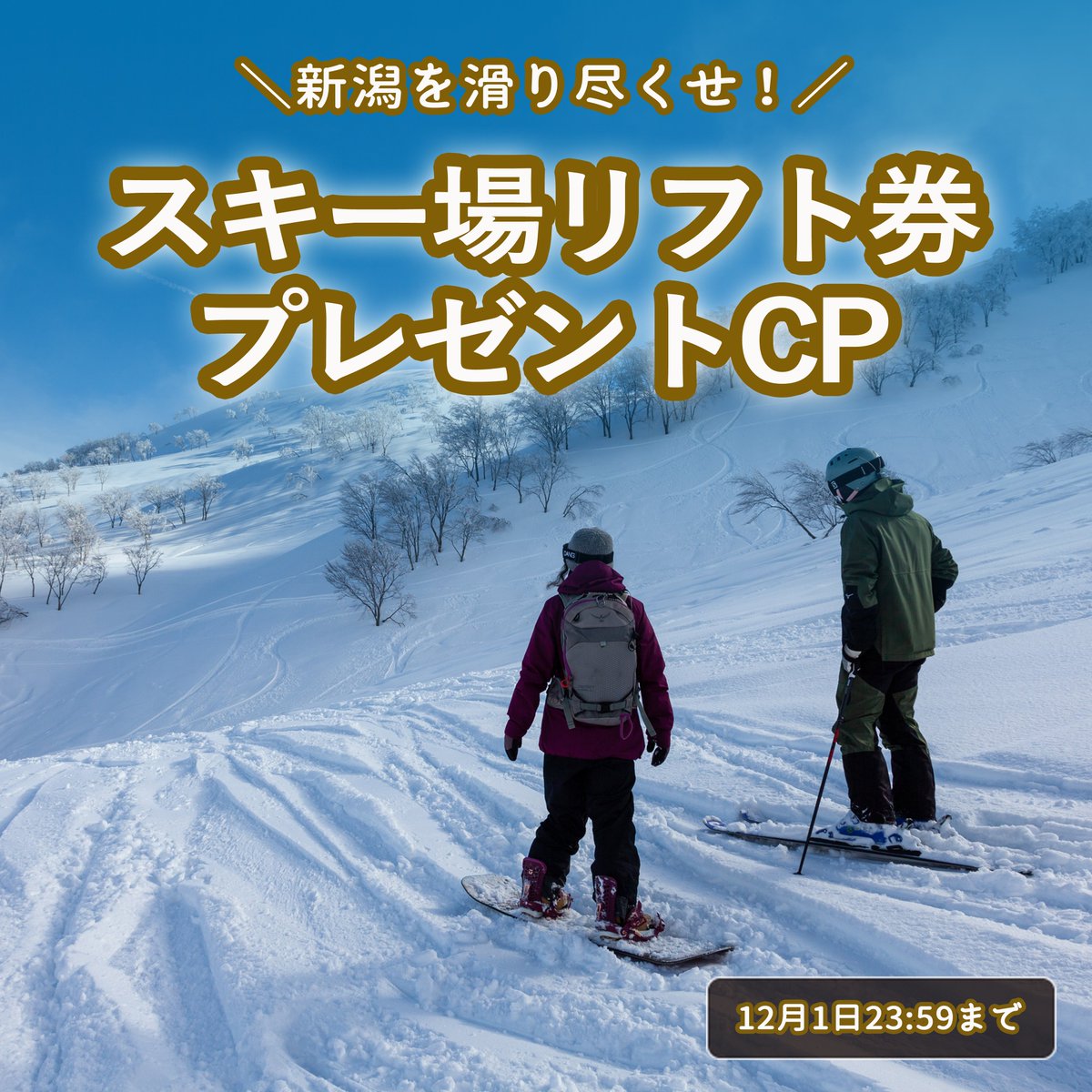 らっしー (@Lassie_86) / Posts / X