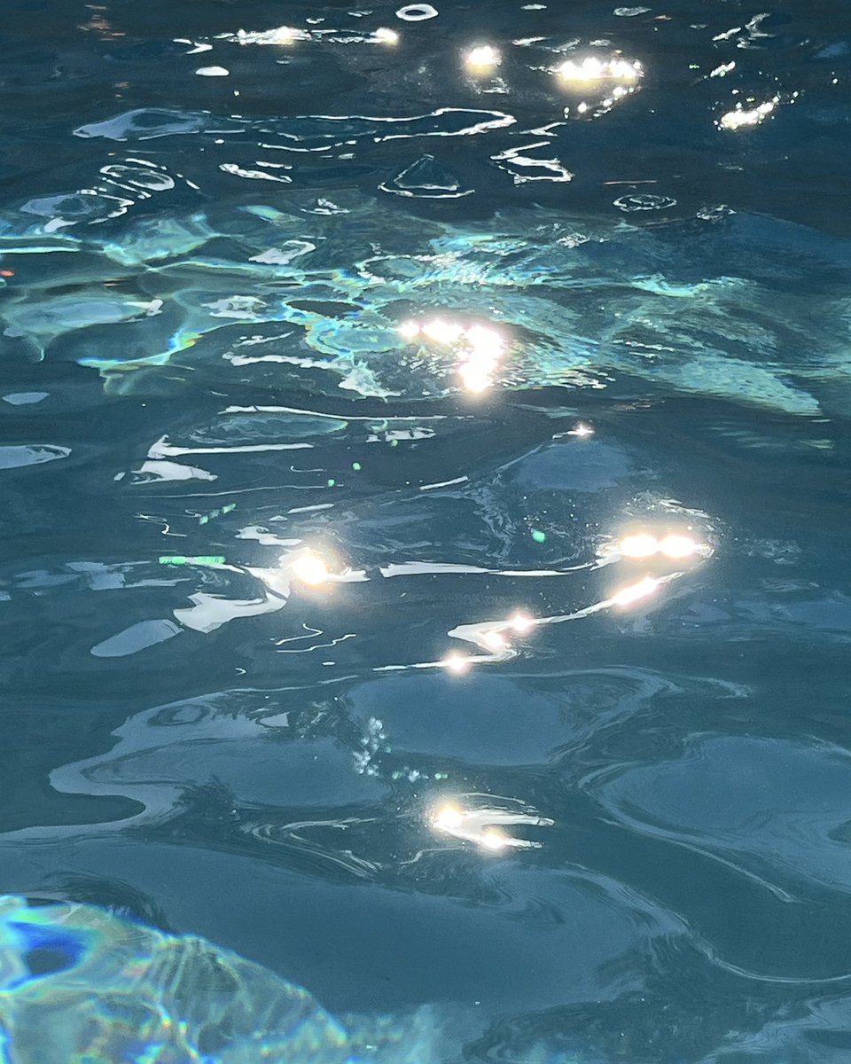 Michael Borth tweet media