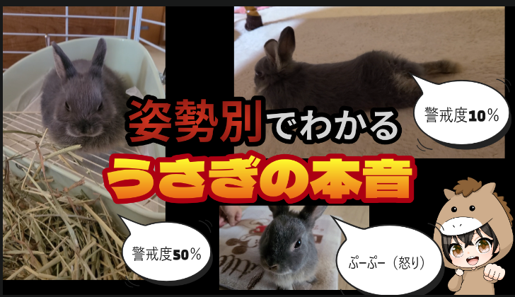 まっく tweet media