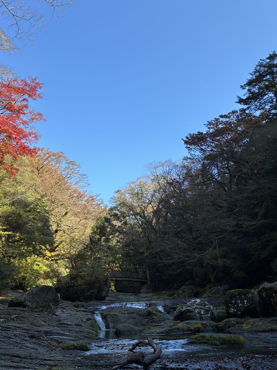 紅葉🍁
まだ緑多めだけど綺麗だった✨たまにはゆっくり歩きながら自然を感じるのもいいね！