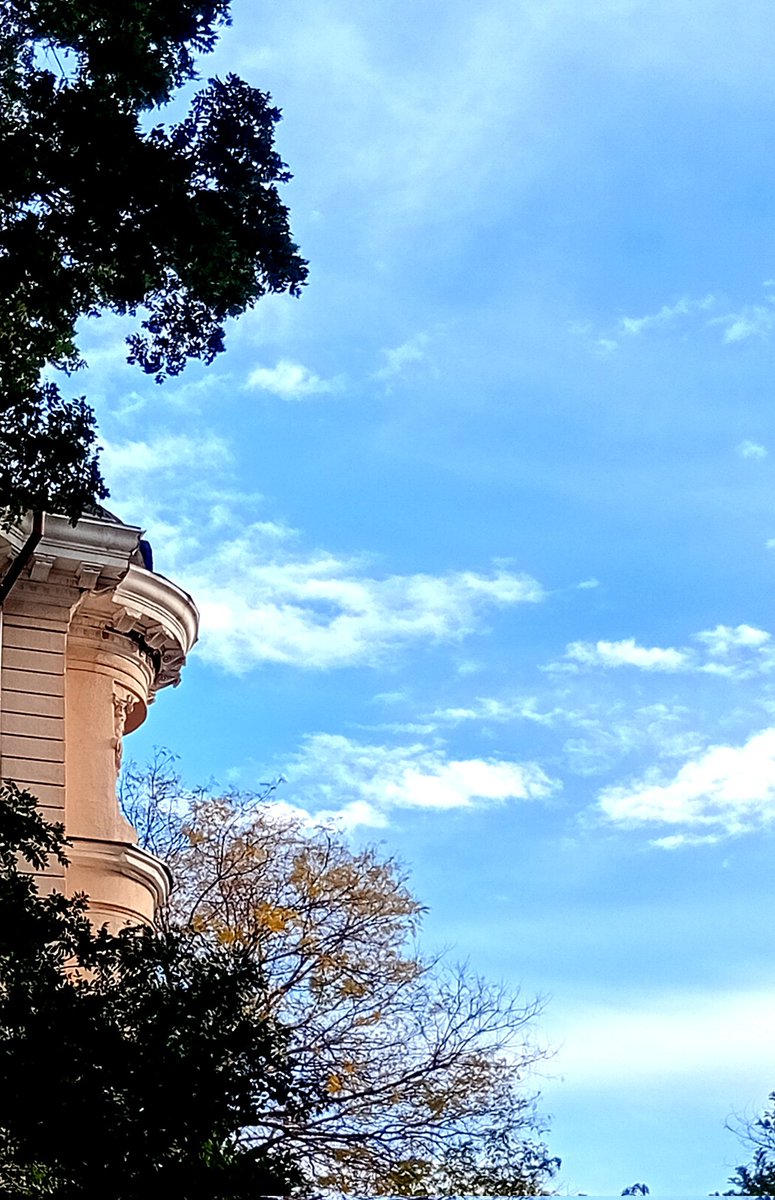 Катерина Галич tweet media