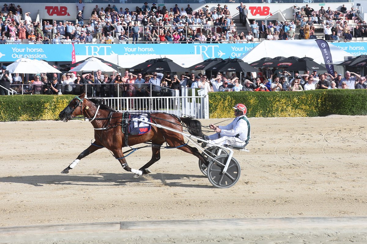 NZ Sires’ Stakes Board tweet media