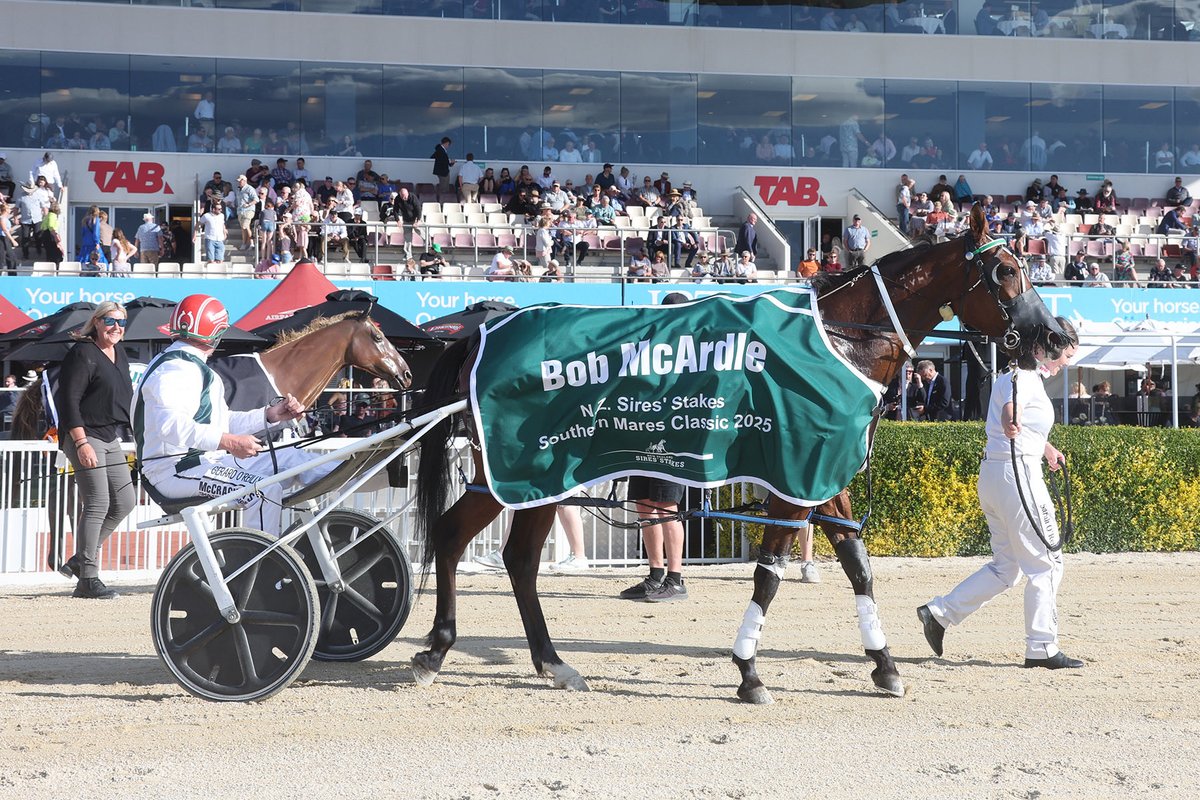 NZ Sires’ Stakes Board tweet media