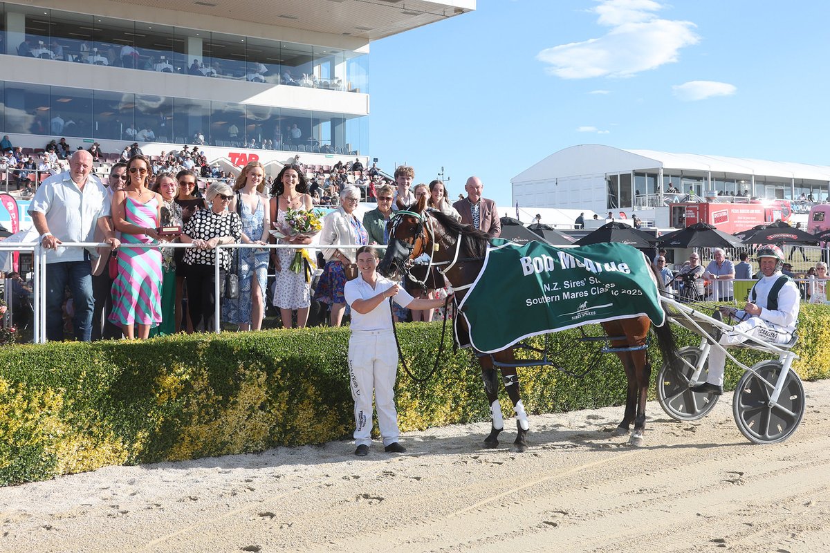 NZ Sires’ Stakes Board tweet media