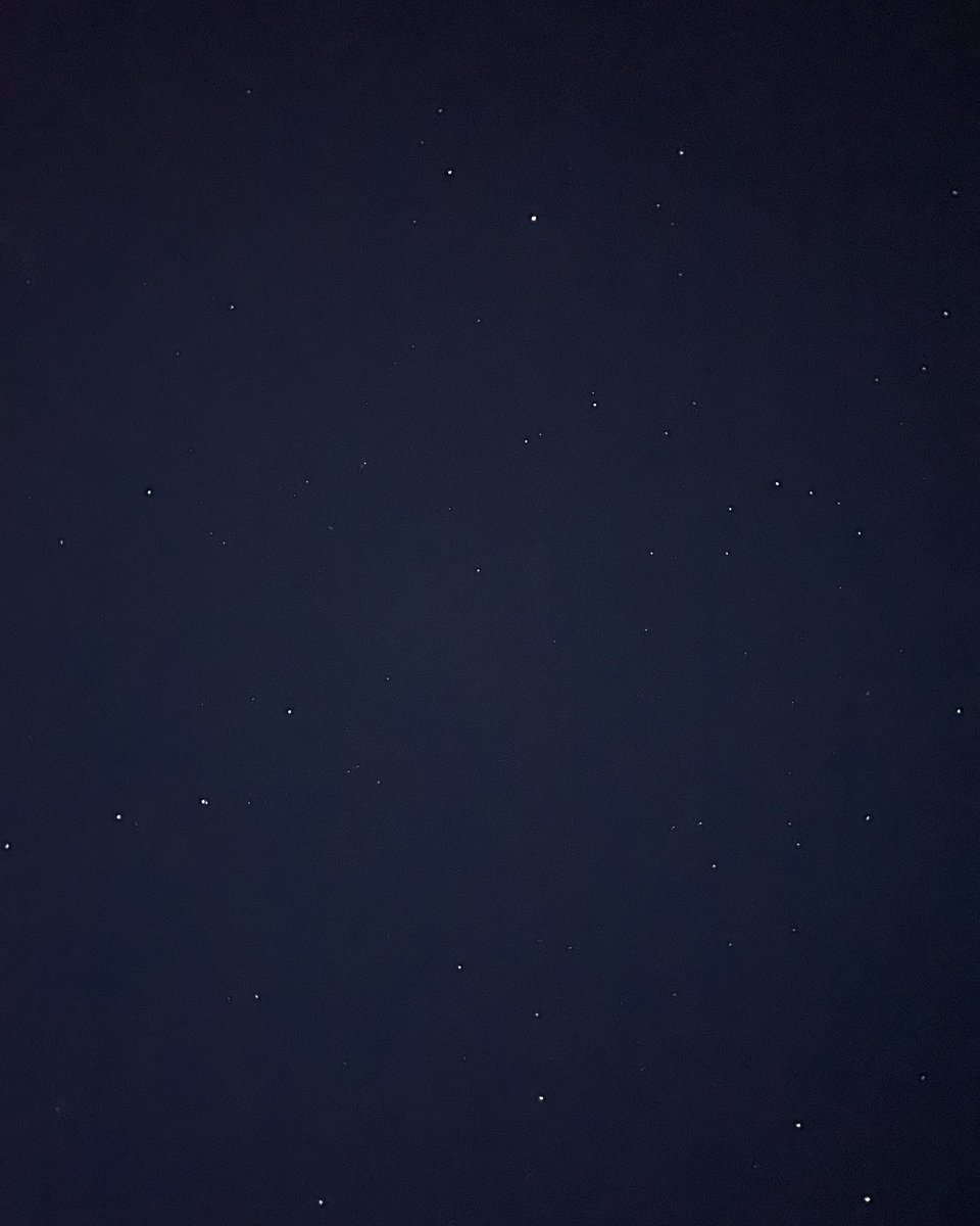 Michael Borth tweet media