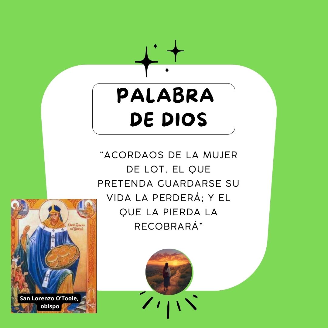 Una vida entregada y no arrebatada, es una meta grande y profunda que merece la pena perseguir. Acabar cada día con la conciencia de haber procurado darlo todo por amor, a pesar del pecado, es como vivimos por adelantado un poco de la felicidad eterna, en la q recobramos la vida.