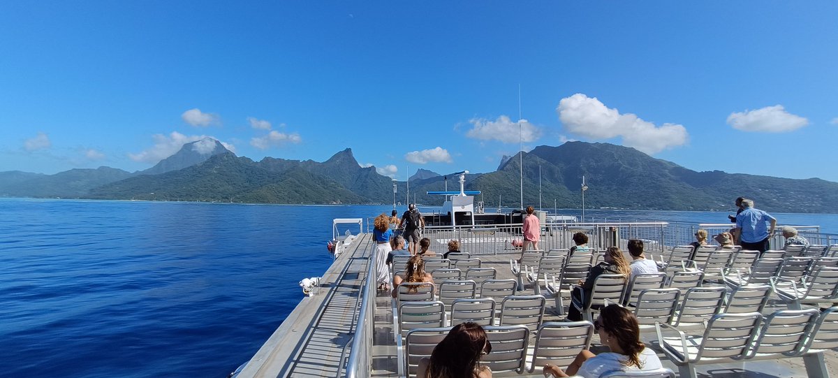 <a href="/mimifrisette/">Mimifrisette</a> <a href="/TCryptomonnaies/">Hellmouth Banner - WEN #PICS2 SER ?</a> <a href="/MDaroots/">KROSNOREX #PICS2 in Tahiti 🦖</a> <a href="/JoinThePICS/">Polynesian Islands Crypto Summit 22-23-24 mai 2026</a> Souvenirs souvenirs de JurassicMoz 🦖🦕