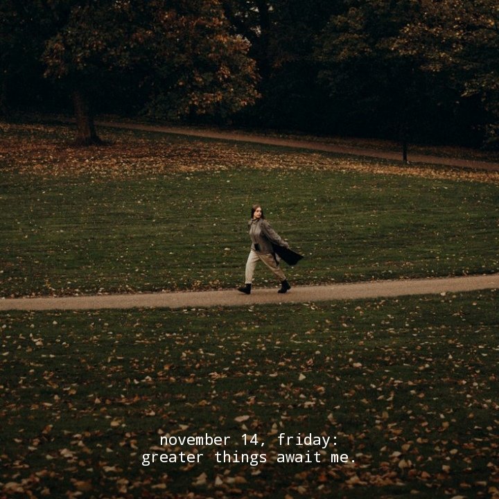 november 14, friday...