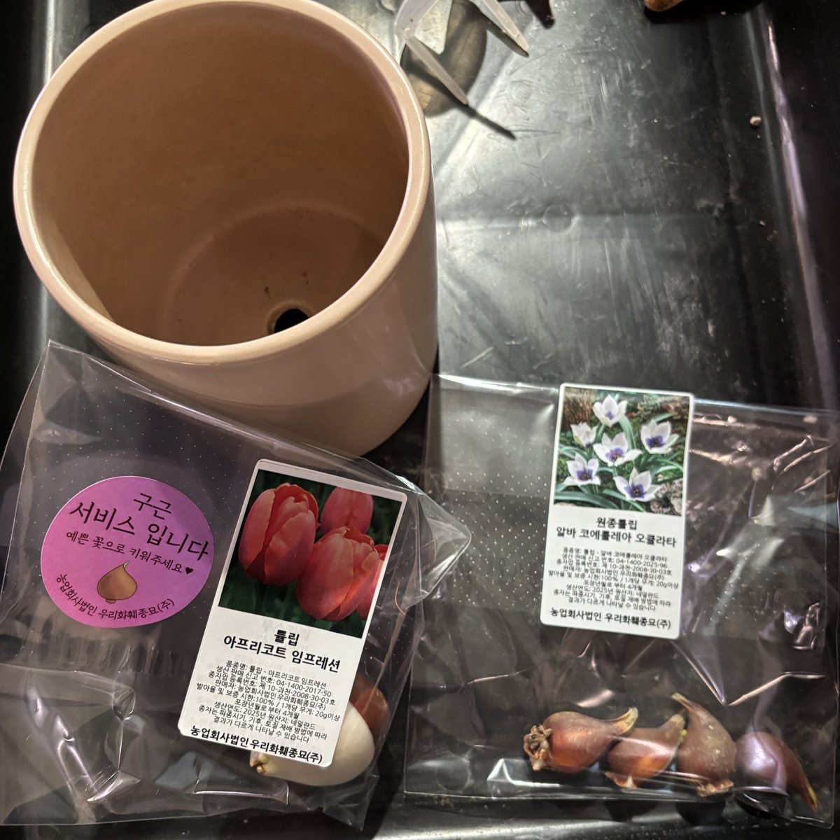 불만많은 애 tweet media