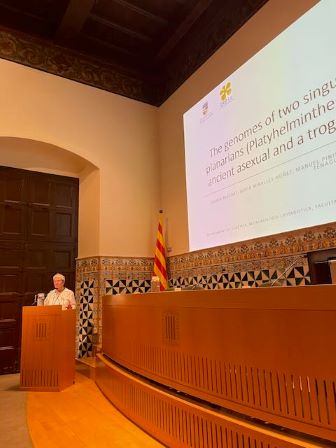 IRBioUB's tweet image. #NoticiaIRBio 🧬 🐦‍⬛  🦎 🐟 🕷️ 🦋 🧬 Èxit de participació d&apos;investigadors i investigadores IRBio en el II Congrés de la Iniciativa Catalana per a l’#EarthBioGenomeProject (10 de les 25 ponències).  
🔗 shorturl.at/iA4T3 
@RiutortLab @Jesus_LozanoF 
@cescmurria