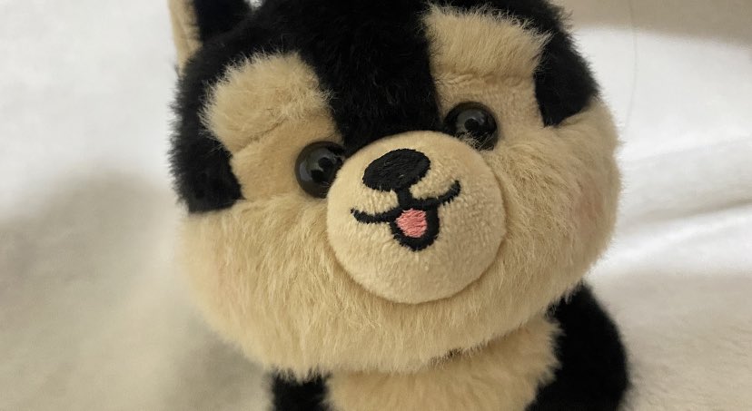 Kyeoptae7's tweet photo. 💌 mail for kyeopie
⋆˚࿔ ➛ @brightside_mnl 

hewow bright sorry for the late feedback but tannie arrive safely to our home vwinny has a new playmate already! thank u so much for this chootie keyring plushie! 🥹🤎💗🐾

꒰ #BrightsideFeedbacks #Kyeopieee_finds ꒱ https://t.co/0GOoQKfh7U