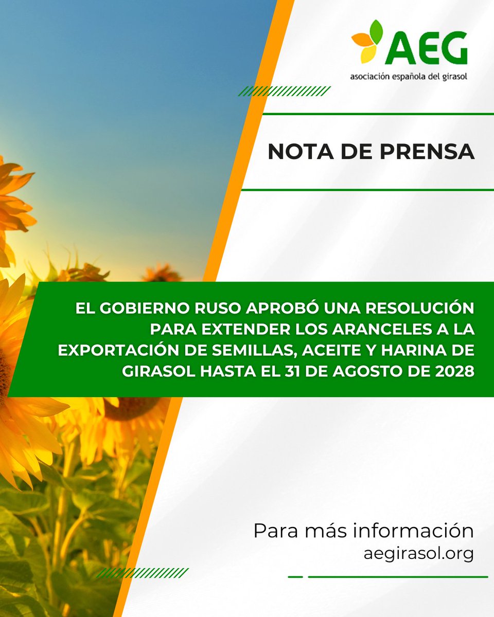 📢 El gobierno ruso aprobó una resolución para extender los aranceles a la exportación de semillas, aceite y harina de girasol hasta el 31 de agosto de 2028.

🔔 Nota de prensa entera en 📲 aegirasol.org o en el enlace ➡️ bit.ly/3Jz2NjJ
