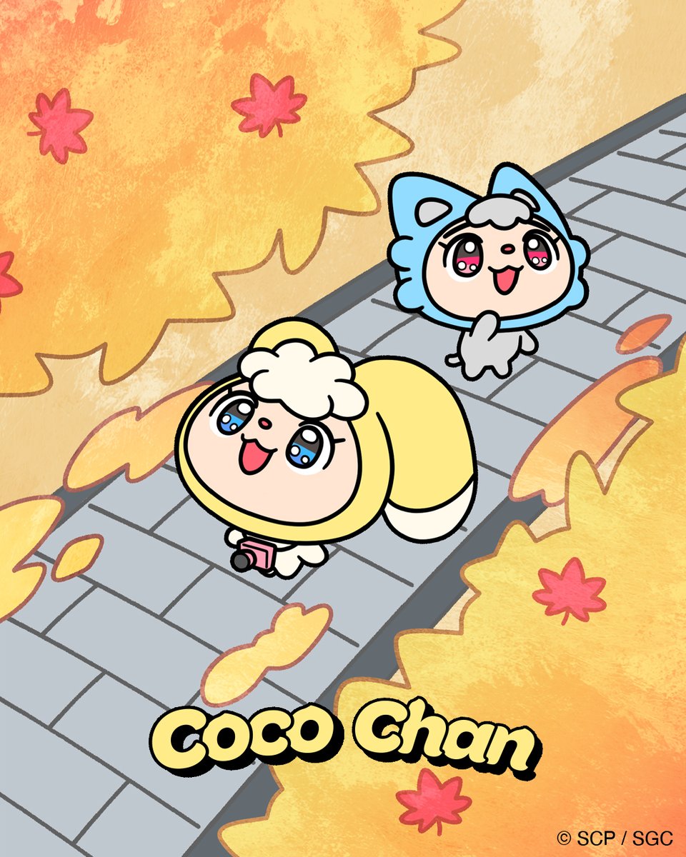 cocochan_nene's tweet image. ステキな紅葉だね🩵💛

#ココちゃん #cocochan