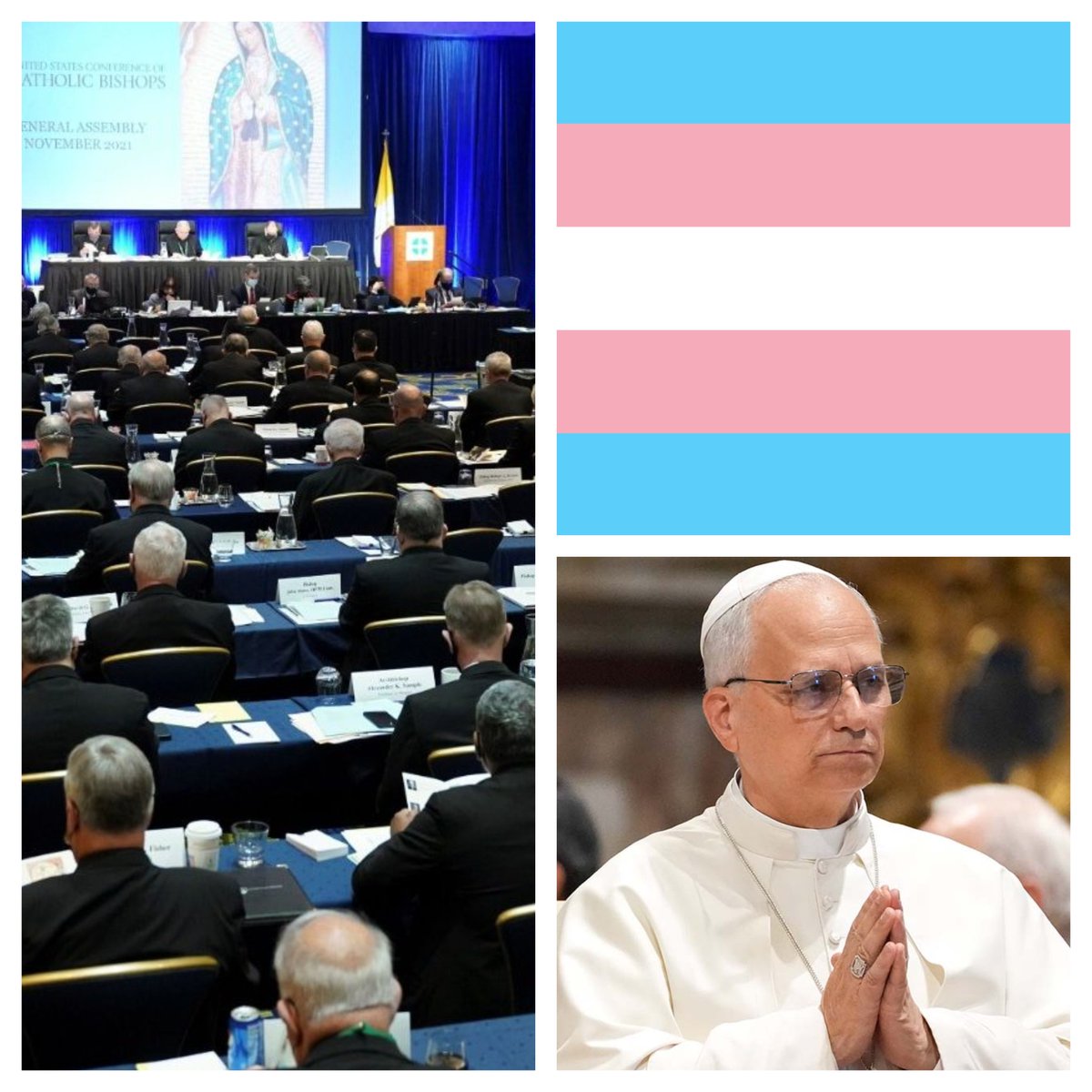 CatholicArena's tweet image. The Catholic Bishops of the United States of America have officially banned transgender surgeries at Catholic hospitals