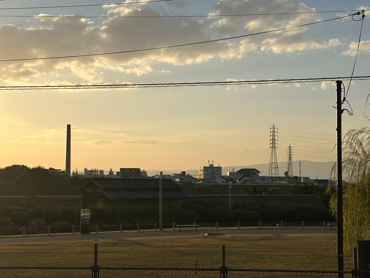 ぎょん tweet media