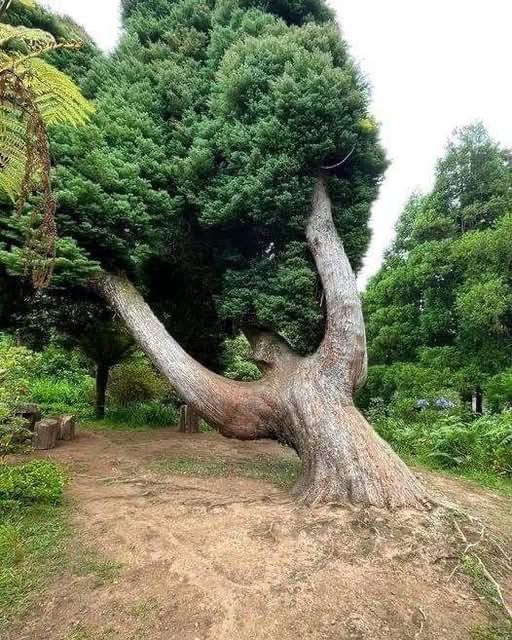 Good morning everyone.☕️ Wishing you all a beautiful day &amp; a blessed, joyous, restful/adventurous weekend with your loved ones.🥰