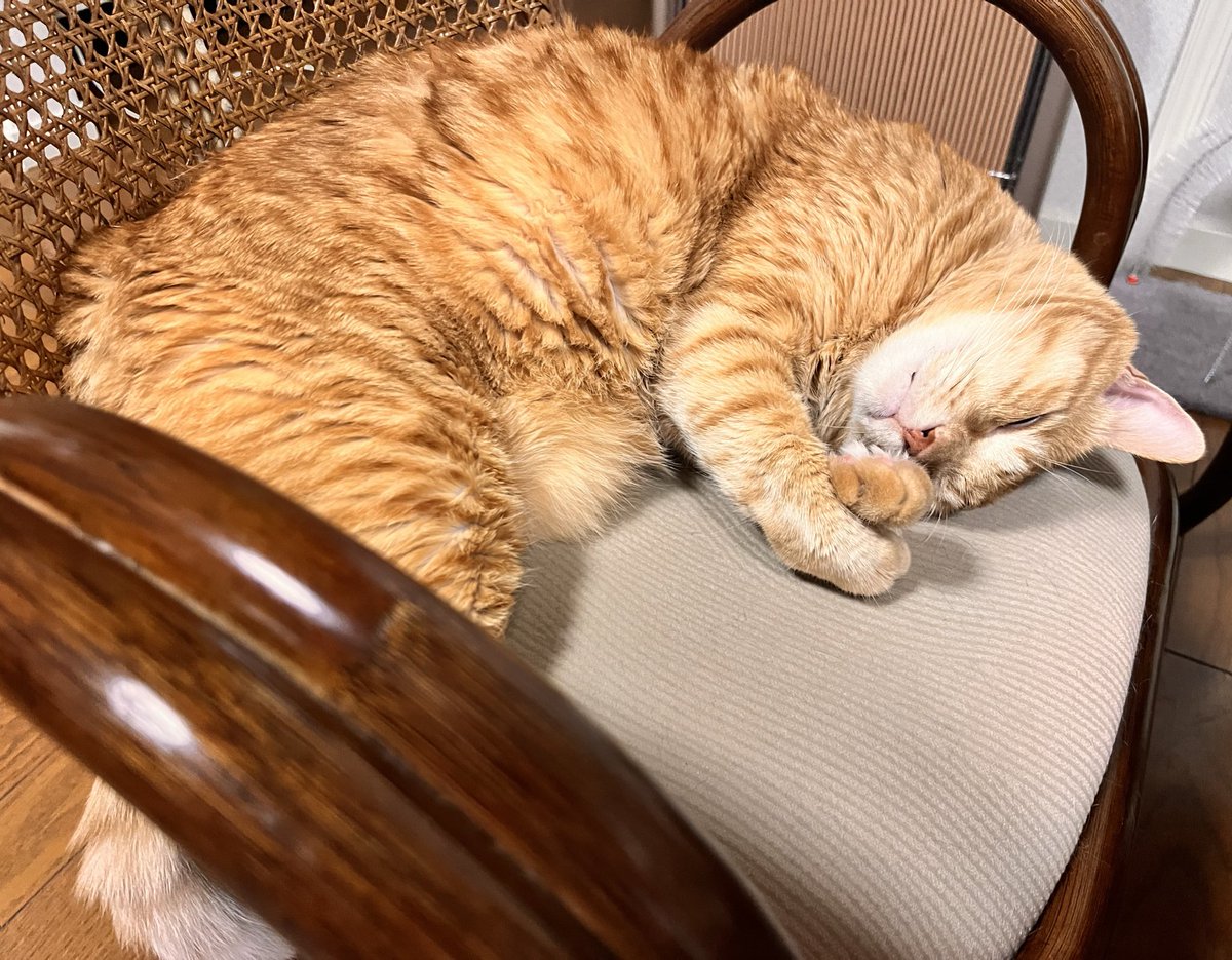 85te3ta21's tweet image. こういうのすぐ買っちゃう

今日も元気そうで一安心😮‍💨

#iqos