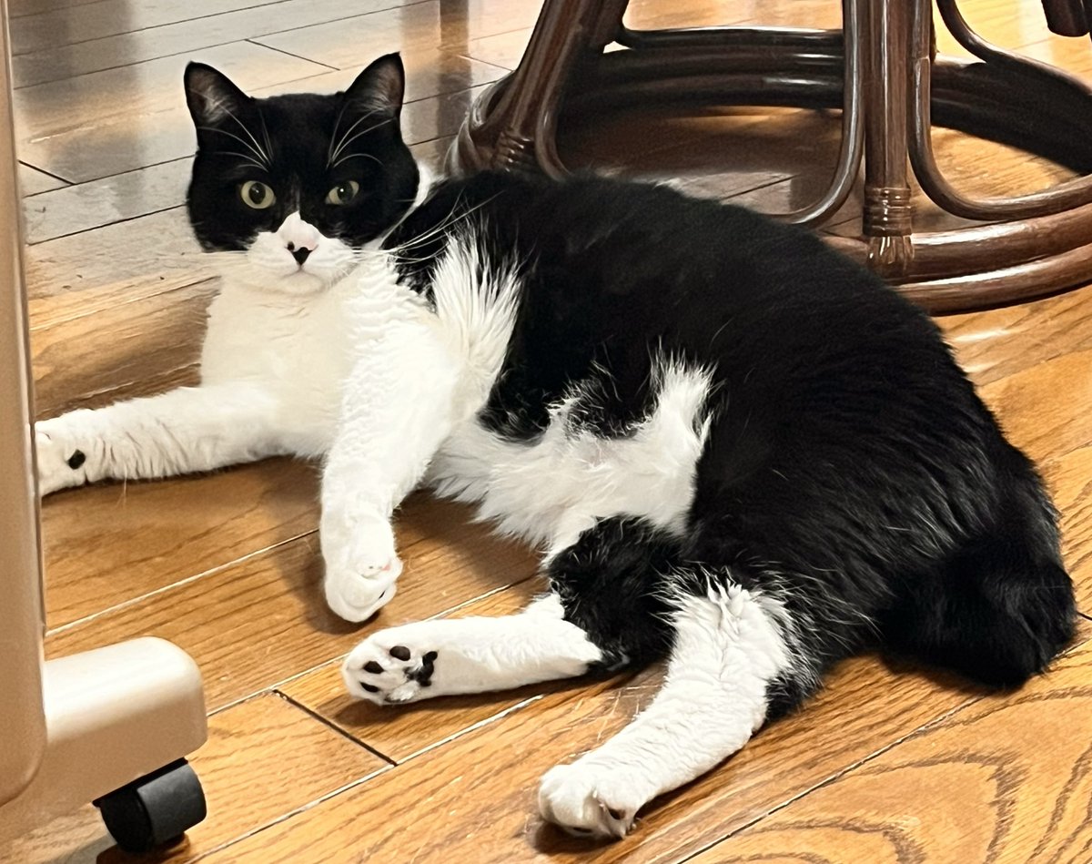 85te3ta21's tweet image. こういうのすぐ買っちゃう

今日も元気そうで一安心😮‍💨

#iqos