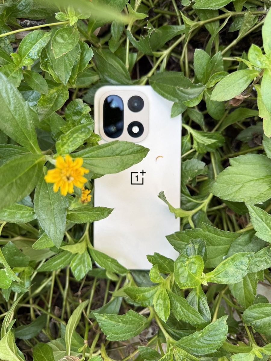 mrtechsingh's tweet image. OnePlus 15 Sand Storm is simple Gorgeous 🔥Price starts at ₹ 68,999 (incl bank offers) #OnePlus15 @OnePlus_IN