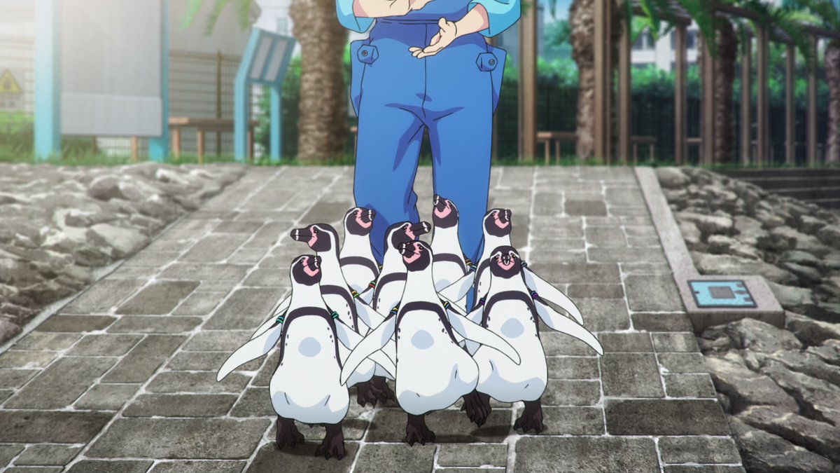 ま？？？？ペンちゃんたち見れんの？？？まだそこまで進んでないんで