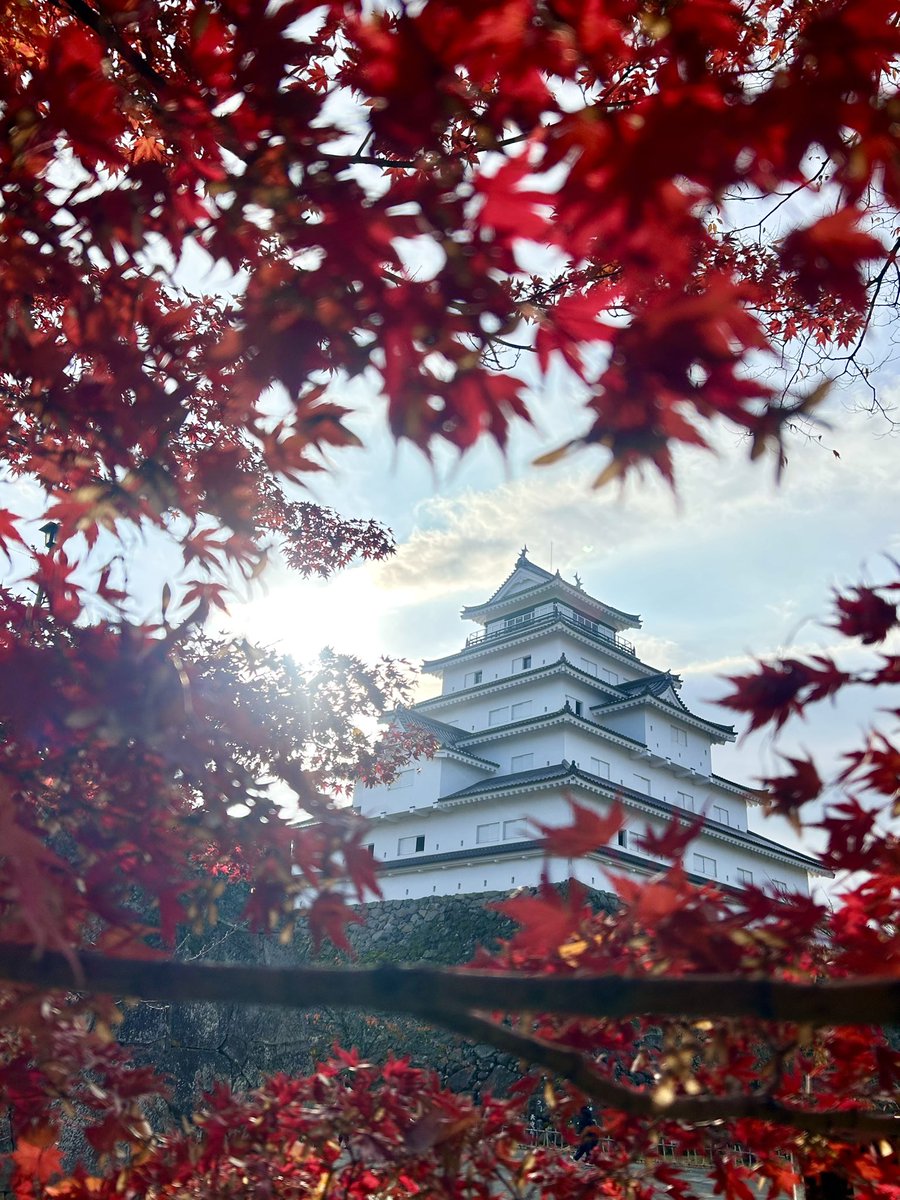 鶴ヶ城サムライフェス・ニノマルシェまで あと2日！！ お天気に恵まれ