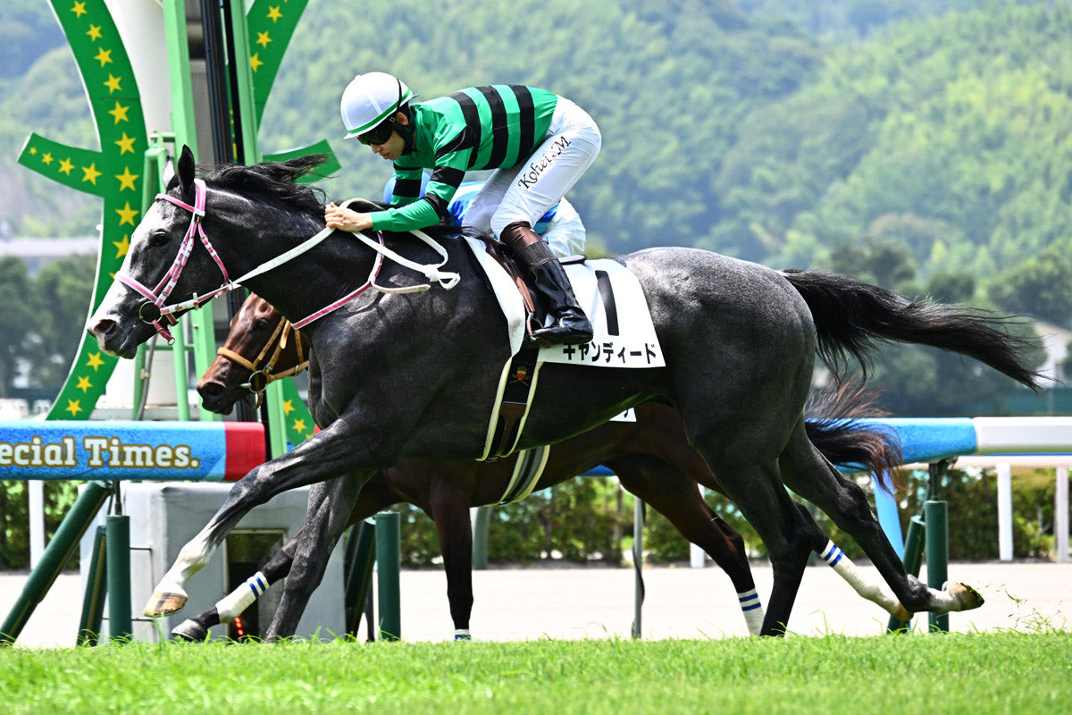 デイリー杯2歳Sの印 ◎5キャンディード 前走やっぱり強い😊 ここは重賞