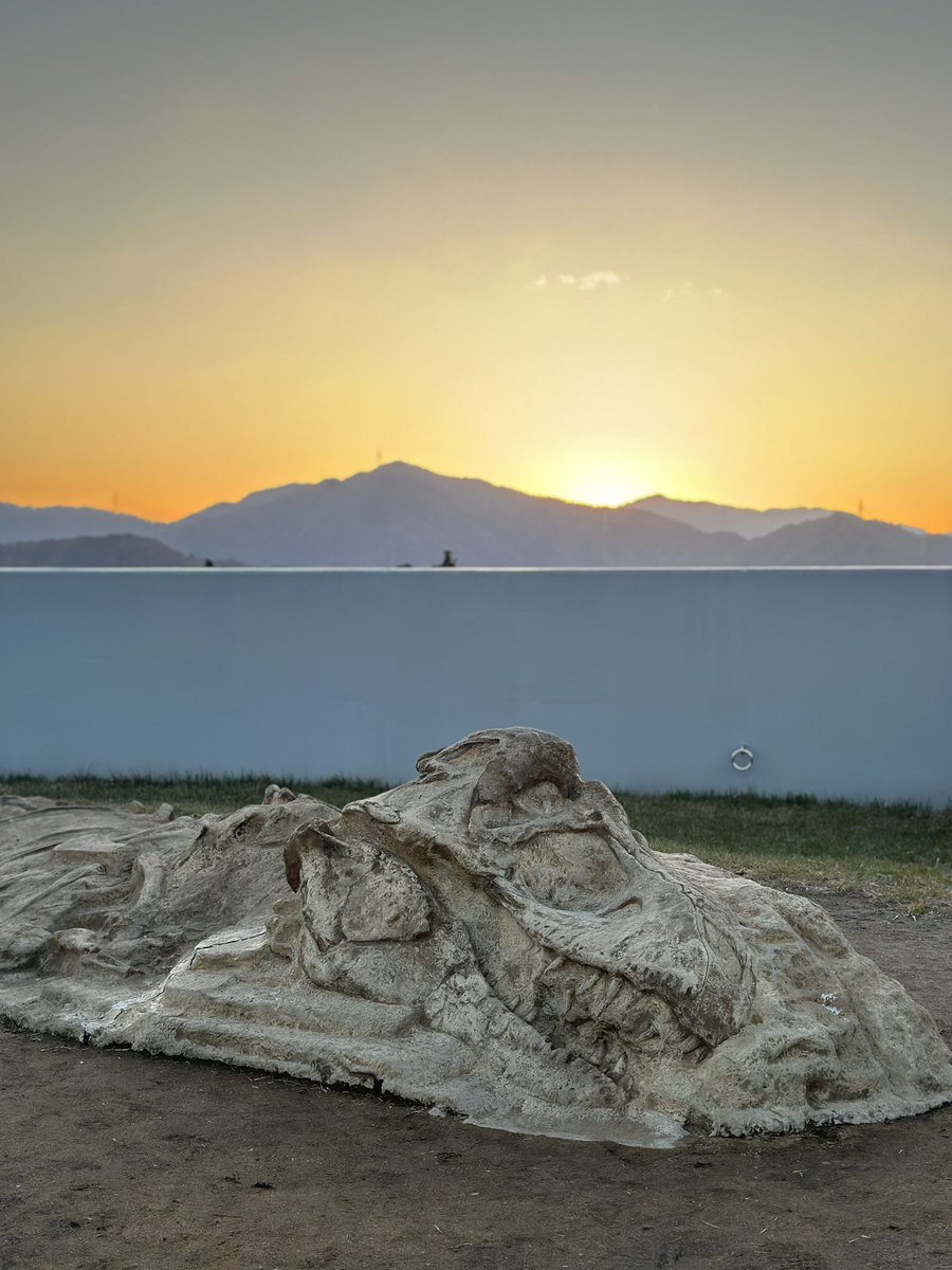 Post by delta555 on X: これは良い写真