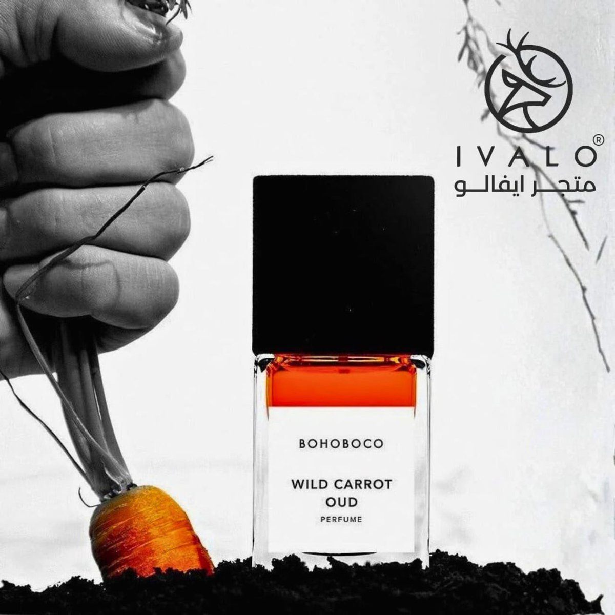 Fawh81's tweet image. مسابقة.. ايفالو الراعي الرسمي لحسابي كعلامة تجارية وليس فقط راعي رسمي في المسابقات
اتشرف بالعمل مع علامة تجارية 

بوهوبوكو وايلد كاروت 
هذا وقته 

ايفالو ماهم مقصرين معانا ..
علامتنا التجارية ❤️

شروط المسابقة &quot; تابعني + رتويت + تم بالمنشن بعد حيي&quot;