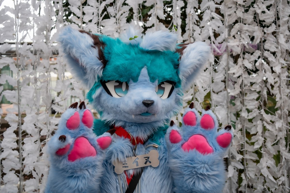 じゅうっとん (@10t100t1000tt) / Posts / X